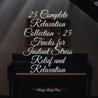 25 Complete Relaxation Collection - 25 Tracks for Instant Stress Relief and Relaxation