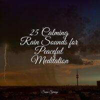 25 Calming Rain Sounds for Peaceful Meditation