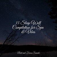 35 Sleep Well Compilation for Spa & Vibes