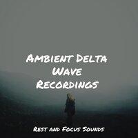 Ambient Delta Wave Recordings