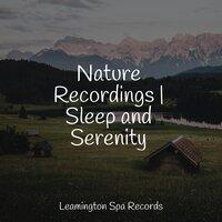 Nature Recordings | Sleep and Serenity