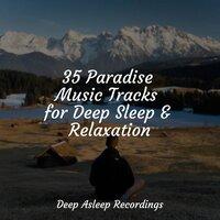 35 Paradise Music Tracks for Deep Sleep & Relaxation