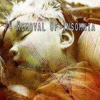 74 Removal Of Insomnia