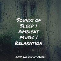 Sounds of Sleep | Ambient Music | Relaxation