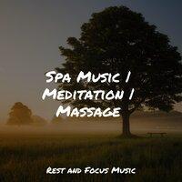 Spa Music | Meditation | Massage