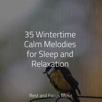 35 Wintertime Calm Melodies for Sleep and Relaxation