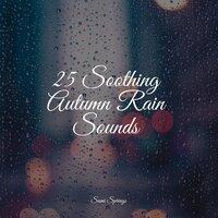 25 Soothing Autumn Rain Sounds