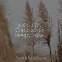 35 Chill Out Compilation: Sleepy Music
