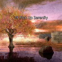 79 Pick up Serenity