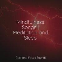 Mindfulness Songs | Meditation and Sleep