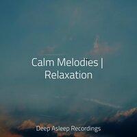 Calm Melodies | Relaxation