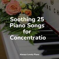 Soothing 25 Piano Songs for Concentration