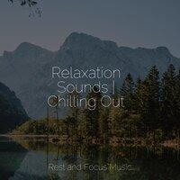 Relaxation Sounds | Chilling Out