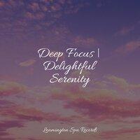 Deep Focus | Delightful Serenity