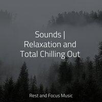 Sounds | Relaxation and Total Chilling Out