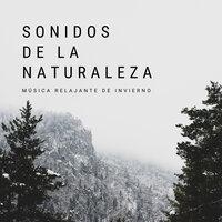 Sonidos De La Naturaleza: Música Relajante De Invierno
