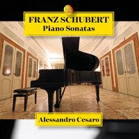 Franz Schubert Piano Sonatas