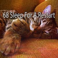 68 Sleep For A Restart