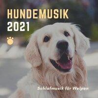 Hundemusik 2021 - Schlafmusik für Welpen