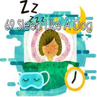69 Спи как собака
