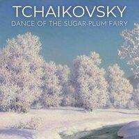 The Nutcracker, Op. 71a: Dance of the Sugar Plum Fairy