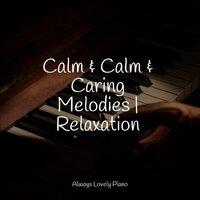 Calm & Calm & Caring Melodies | Relaxation