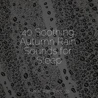 40 Soothing Autumn Rain Sounds for Sleep
