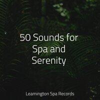 50 Sounds for Spa and Serenity