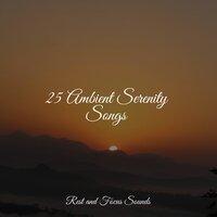 25 Ambient Serenity Songs