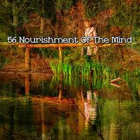 56 Nourishment Of The Mind