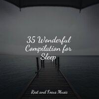 35 Wonderful Compilation for Sleep