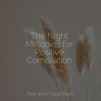 The Night Melodies for Positive Compilation