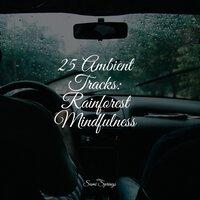 25 Ambient Tracks: Rainforest Mindfulness