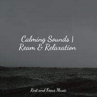 Calming Sounds | Ream & Relaxation