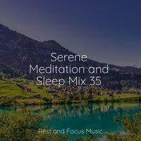 Serene Meditation and Sleep Mix 35