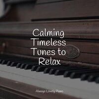 Calming Timeless Tunes to Relax