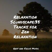 Relaxation Soundscape:35 Tracks for Zen Relaxation