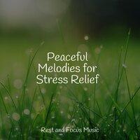 Peaceful Melodies for Stress Relief