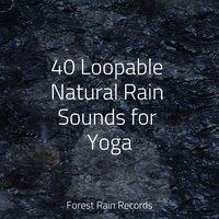 40 Loopable Natural Rain Sounds for Yoga