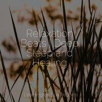Relaxation Beats | Deep Sleep and Healing