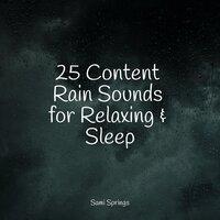 25 Content Rain Sounds for Relaxing & Sleep