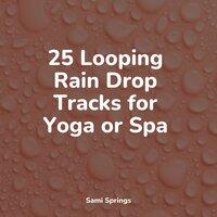 25 Looping Rain Drop Tracks for Yoga or Spa