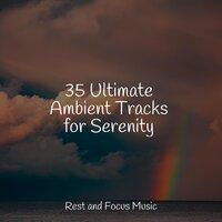 35 Ultimate Ambient Tracks for Serenity