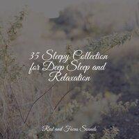 35 Sleepy Collection for Deep Sleep and Relaxation