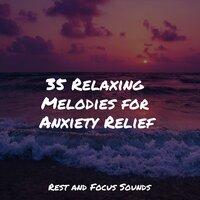 35 Relaxing Melodies for Anxiety Relief