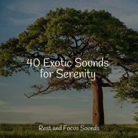 40 Exotic Sounds for Serenity
