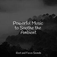 Powerful Music to Soothe the Ambient