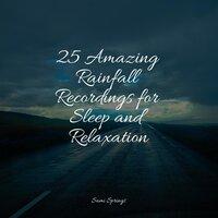 25 Amazing Rainfall Recordings for Sleep and Relaxation