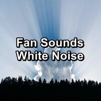 Fan Sounds White Noise