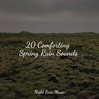 20 Comforting Spring Rain Sounds